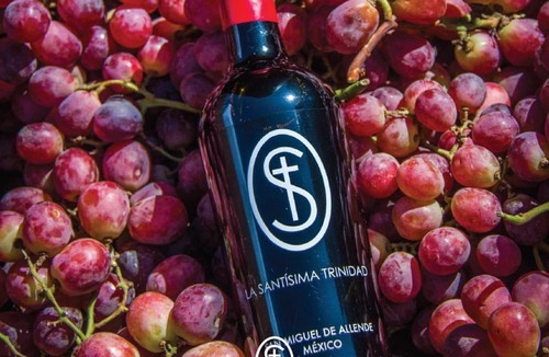 Dolores Hidalgo Hotel | La Santísima Trinidad