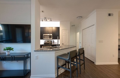 Austin Apartment | Landing | Spectacular 1BD, Gym, Pool