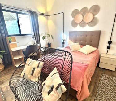 Mexico Apartment | Large, well-lit apartment 4