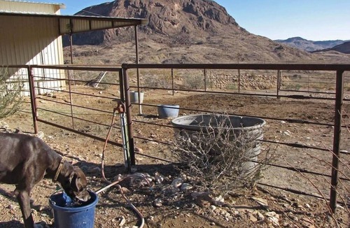 Terlingua House | Laughing Horse Retreat PLUS Guesthouse: 217 Acres.