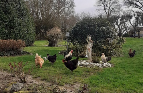 Pace Bed & Breakfast | Le Haut Montrayé