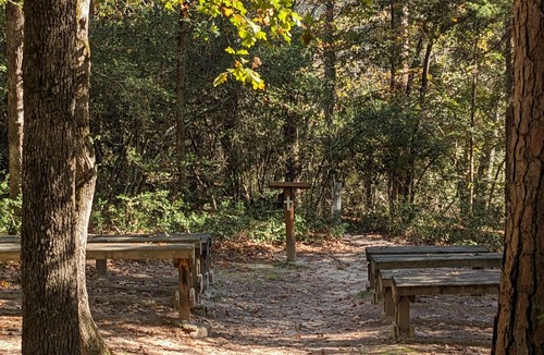 Holly Lake Ranch House | Little Getaway Paradise on the Golf Course w/Resort Amenities!