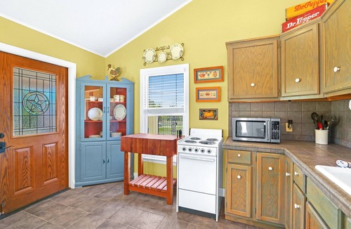 Driftwood House | Little Yellow House I Dogs, stargazing