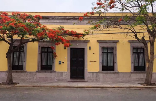 Guadalupe Apartment | Lluvia Suite | Cozy Boutique Home + Pool