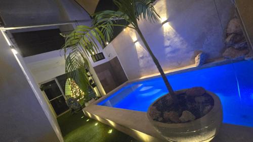 Merida House | Loft's PB