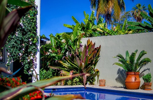 Lo de Marcos Apartment | Los Gallos - Suite panoramic views