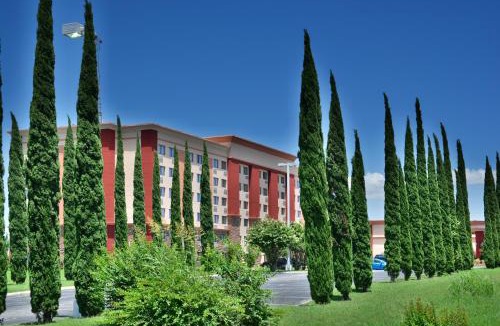South Arlington Hotel | Lux Hotel & Spa