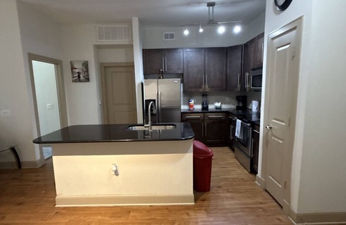 Astrodome Apartment | Luxurious Apartment near Texas Medical Center