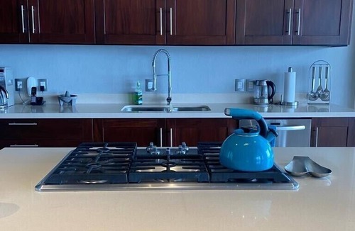 South Shore Hotel Area Condo | Luxury Condo on a private and beautiful swimmable Beach, Hight cleaning st.