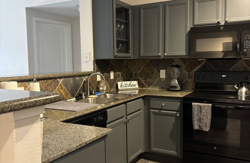 Braeswood Place Condo | Luxury! Pool View! 5 Minutes to NRG Stadium & Med Center!