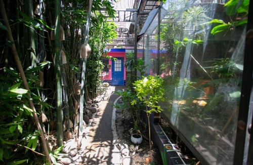 Cholula Apartment | Majikal BnB Martinlandia (Frida)