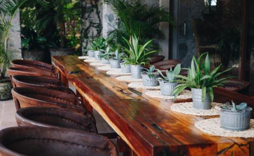 Queretaro Bed & Breakfast | María & Bernardo Casa - Viñedo