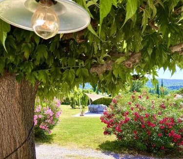 Correns Villa | Mas du Murier