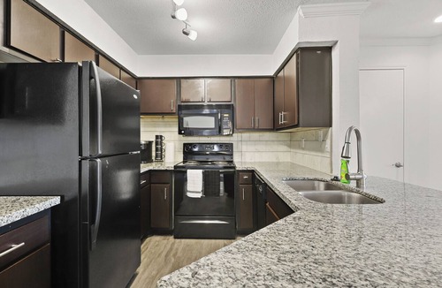 Astrodome Apartment | Med Center Apt Near NRG