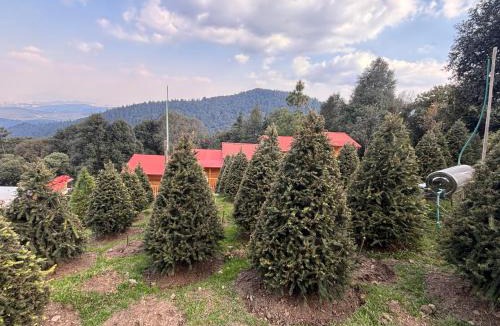 Isidro Fabela Hotel | Mi Refugio Mamre
