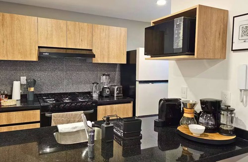 Xochimilco Apartment | Modern Luxury apartment in Colonia Roma Norte