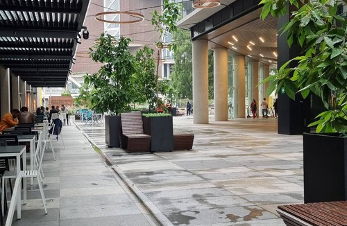 Zona 4 Condo | Moderno loft con parqueo en el epicentro artístico de Zona 4 Ciudad de Guatemala