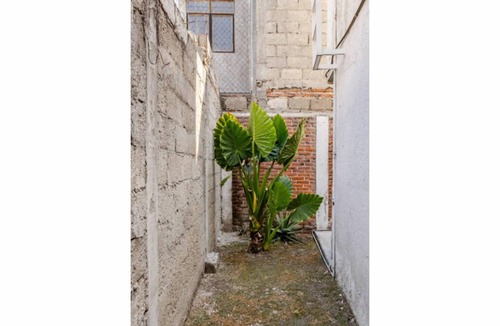 Puebla House | Momoxpan House