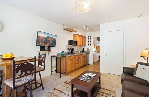 Telluride Condo | Mountain Hideaway w River Views + Walk to Chair 7 @ Viking Lodge 315