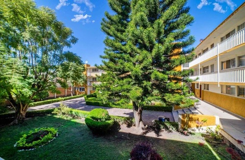 Downtown Queretaro Apartment | +MS +Suite Confortable +Centrica +Zaragoza +A24