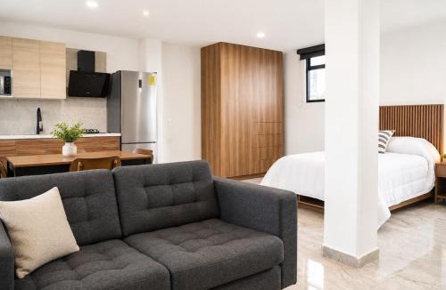 San Martin Texmelucan Apartment | Loft Ejecutivo San Martin Centro Wifi Tv 65