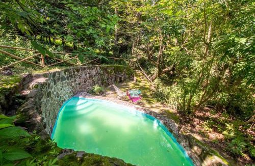 Miacatlan House | Natural Retreat & Pet-Friendly Escape