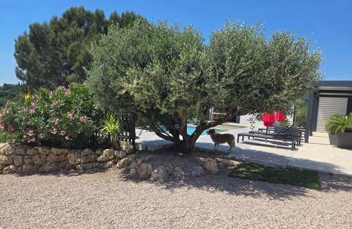 Cotignac Apartment | NEW accommodation, panoramic view, overflowing swimming pool, beautiful village