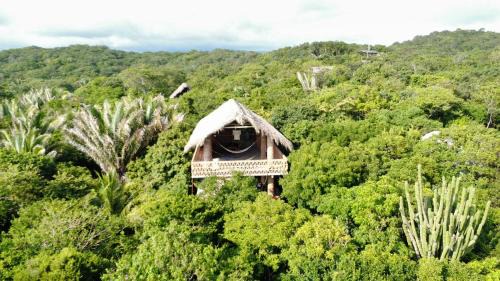El Cacalote Cabin | New Ruins Off-The-Grid SuperAdobe Domes with Pool