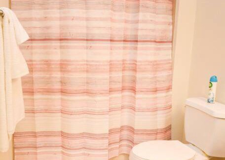 Astrodome Apartment | NRG Park - Spacious Two-Bedroom Two-Bathroom Apartment