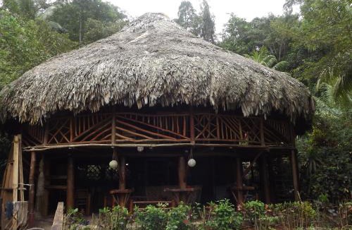 Puerto Barrios Hostel | Palmeras del Río HOTEL