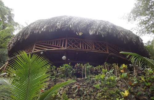 Puerto Barrios Hostel | Palmeras del Río HOTEL