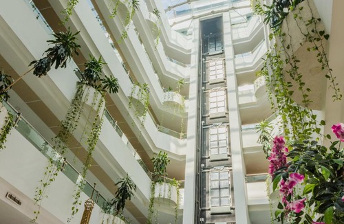 Poza Rica Hotel | Paris FC Hotel