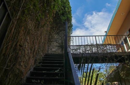 Chacala Bed & Breakfast | Patio Canarias Chacala Suites Pet-Friendly