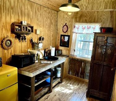 Mountain Home House | Peaceful Wildlife Ranch Cabin with Pool Access near Kerrville in Mountain Home, Texas