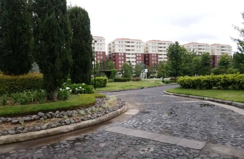 Zona 16 Apartment | Pink House 604