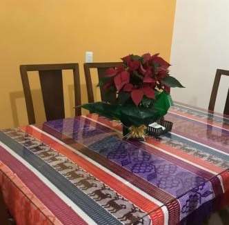 Pinotepa Nacional Apartment | Pinotepa Nacional- Small Apartment