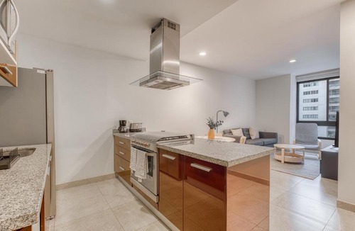 Ampliacion Granada Apartment | Polanco Business & Leisure - Junto a Embajada USA