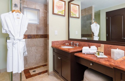 Puerto Vallarta Resort | PRESIDENT'S DAY WEEK IIN PUERTO VALLARTA! VILLA DEL PALMAR FLAMINGOS 2 BEDROOM