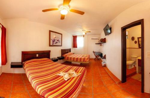 Tamiahua Hotel | Puerto Lobos Dive camp