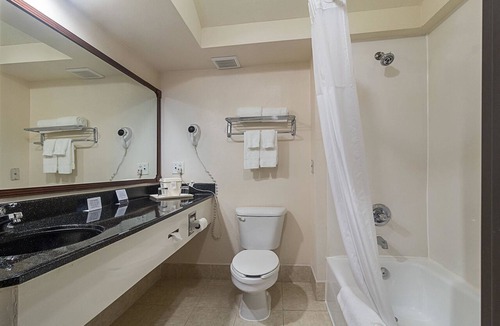 Westchase Hotel | Quality Inn & Suites West Chase