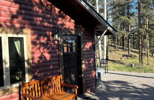 Pine Cabin | Quiet Mountain Cabin Escape - 1 hr from DIA! Gas firepit & Starlink Wifi