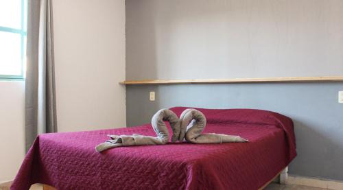 Pachuca Hotel | Real Hotel y Alojamientos