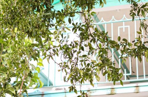 Pachuca Hotel | Real Hotel y Alojamientos