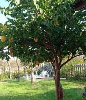 Las Calabazas House | Recámaras sol y arena