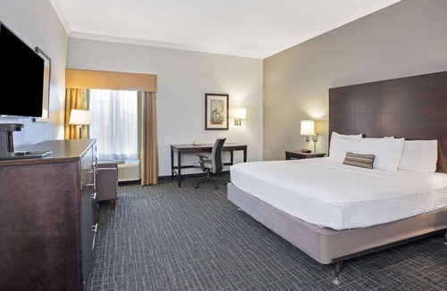 Westchase Hotel | Refined Room for Professionals with Poolside Zen | Free Parking