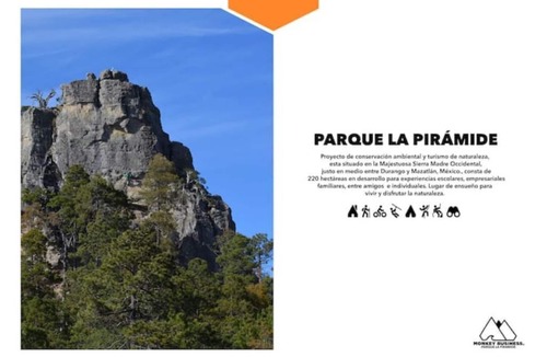 Pueblo Nuevo Cabin | Refugio en el bosque Parque La Pirámide
