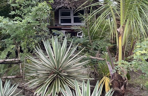 Puerto Barrios House | Rio Lagarto cabin by the sea