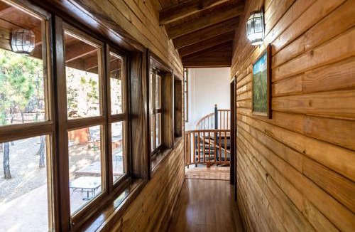 Mascota House | Roca Venados