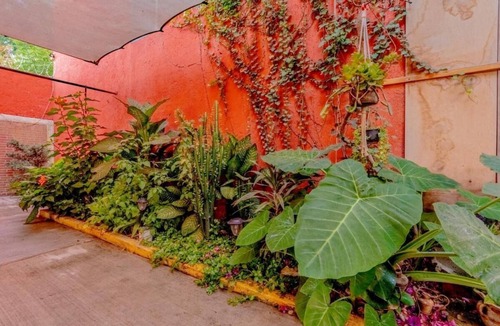 Del Ex-marquezado House | San Jerónimo Casa Oaxaca