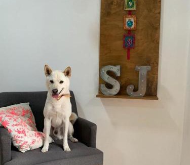 Cholula Bed & Breakfast | Santa Josefita